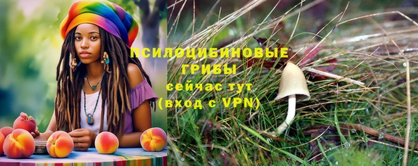МДПВ Красноперекопск