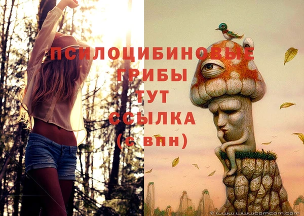 МДПВ Красноперекопск
